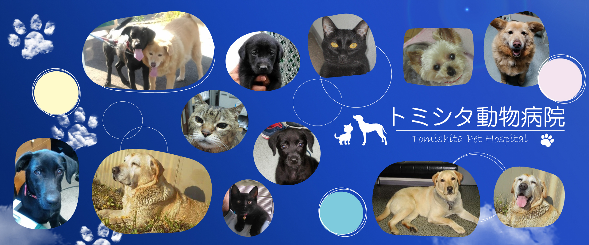 トミシタ動物病院