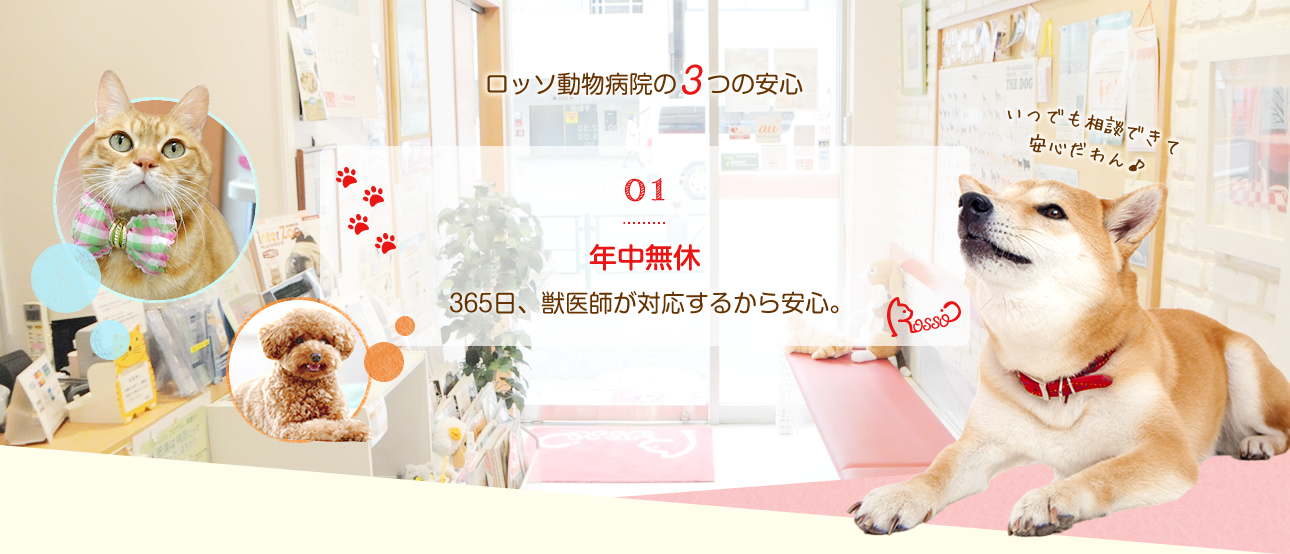 ロッソ動物病院
