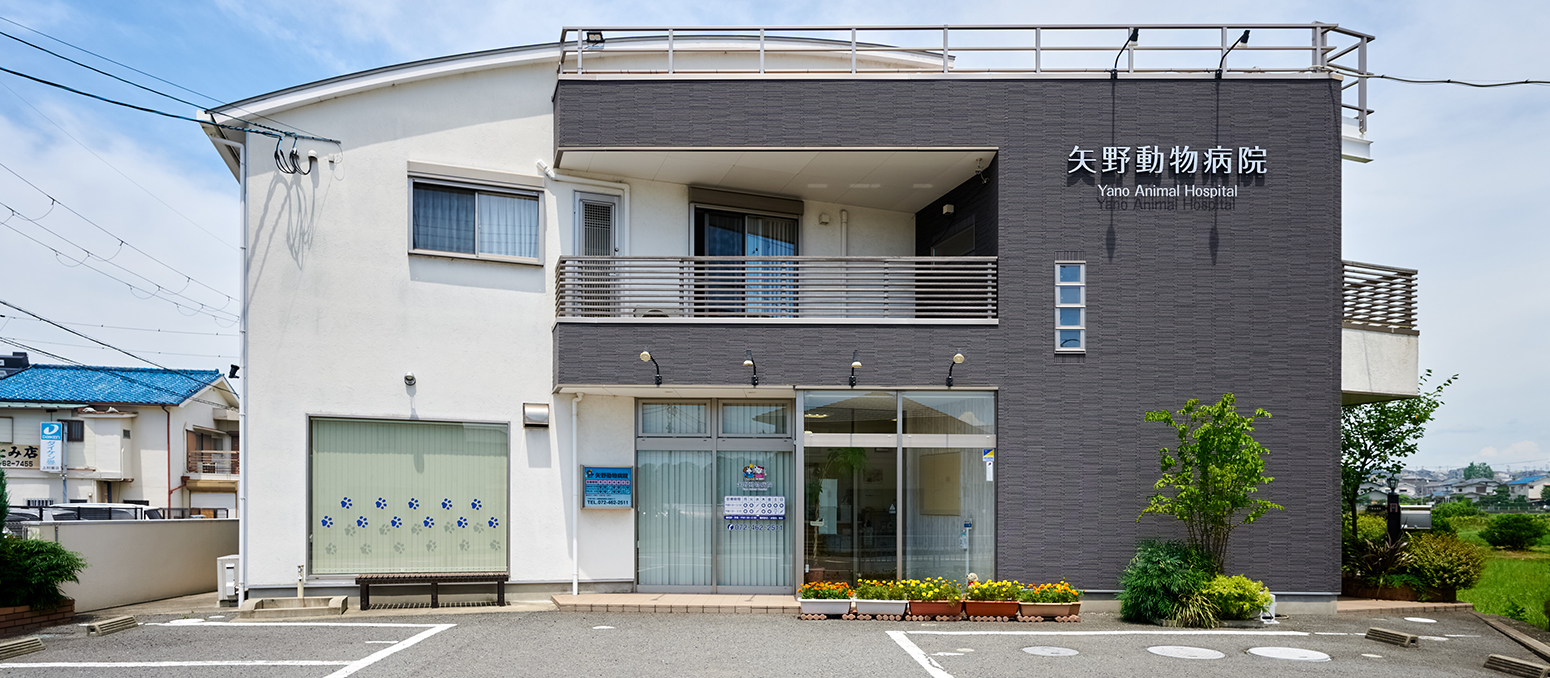 矢野動物病院