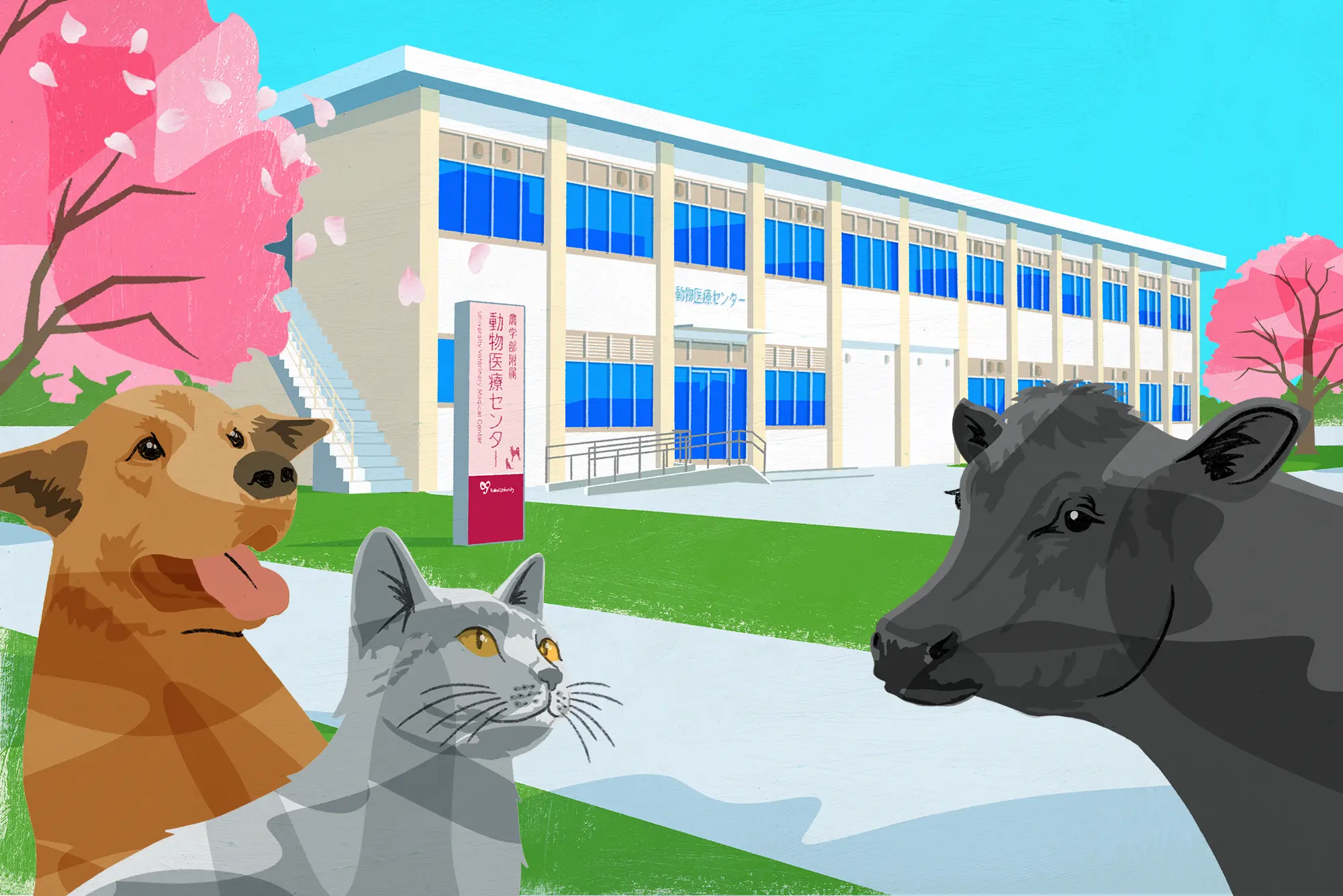 鳥取大学 農学部附属動物医療センター