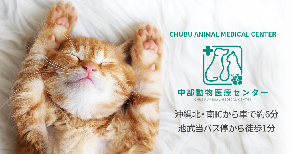 中部動物医療センター