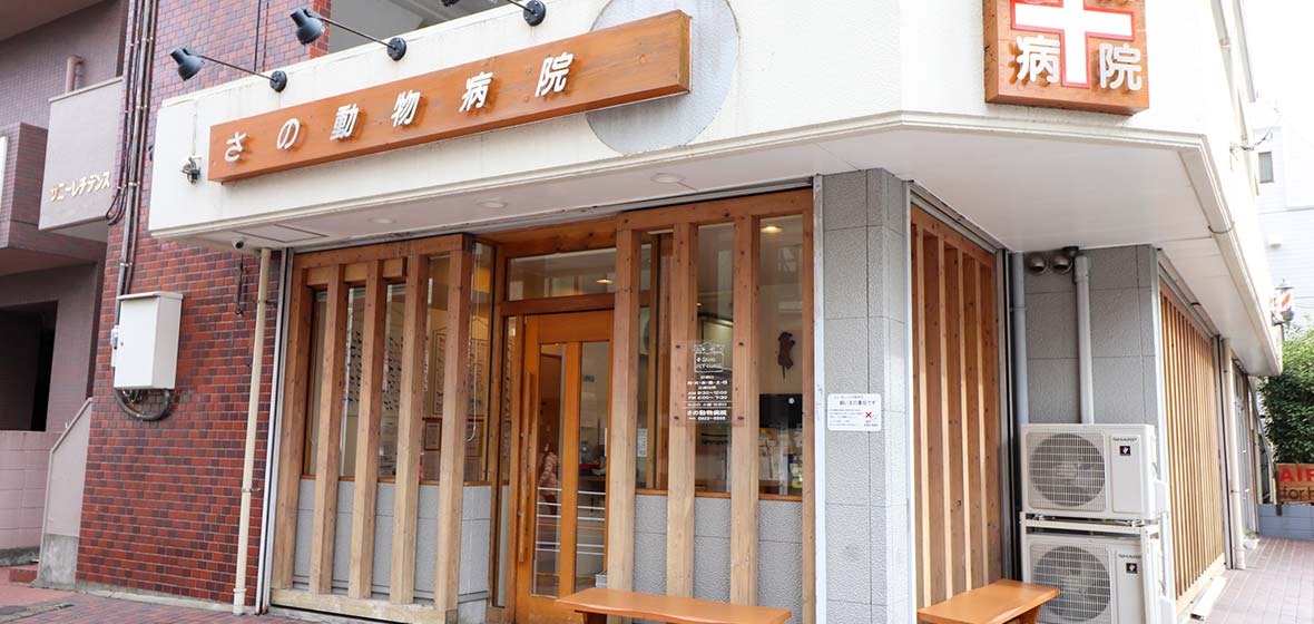さの動物病院