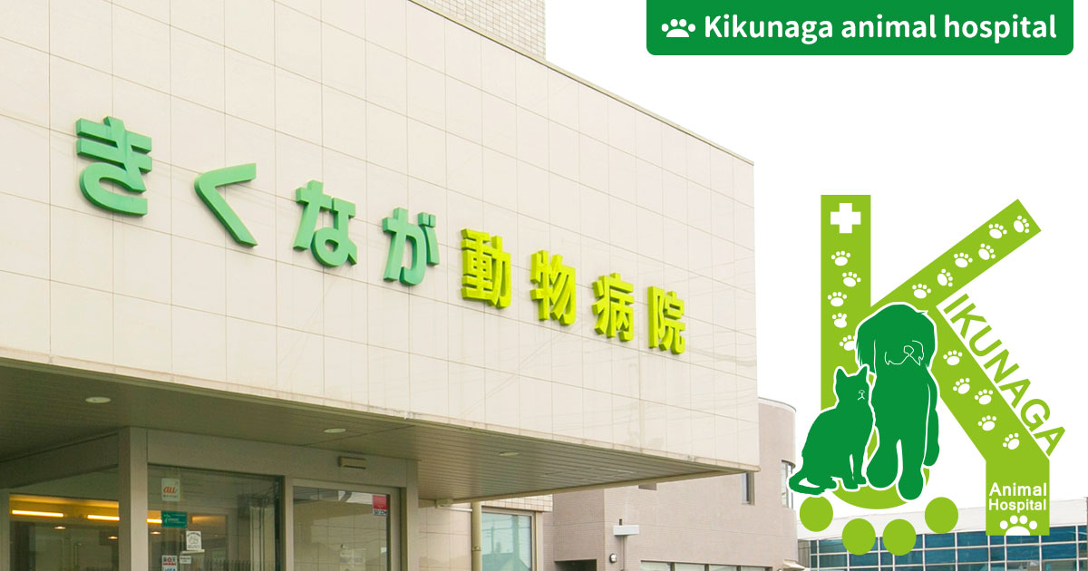 きくなが動物病院