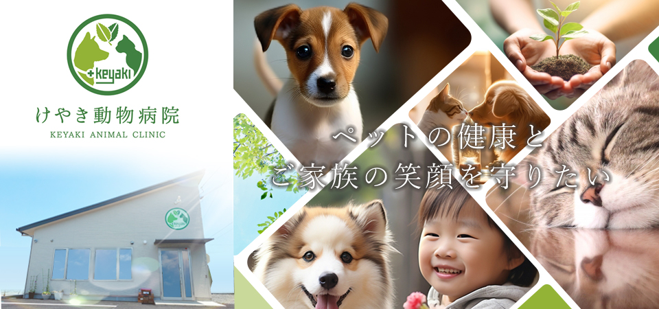 けやき動物病院
