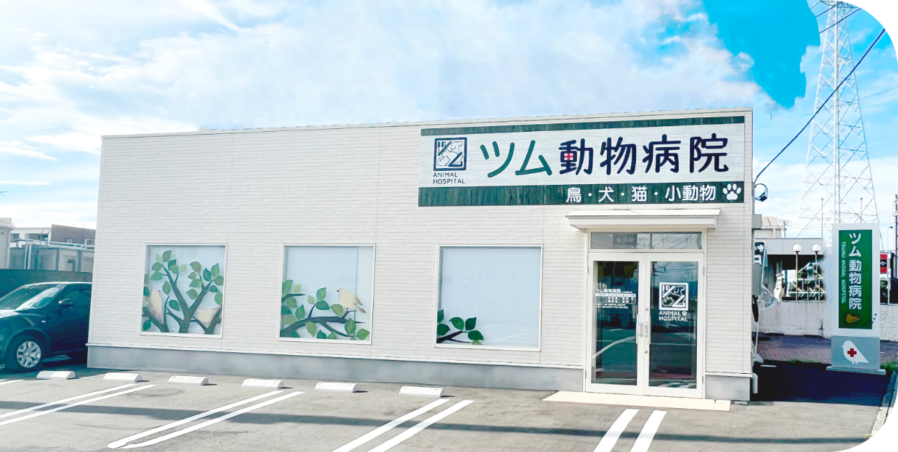 ツム動物病院