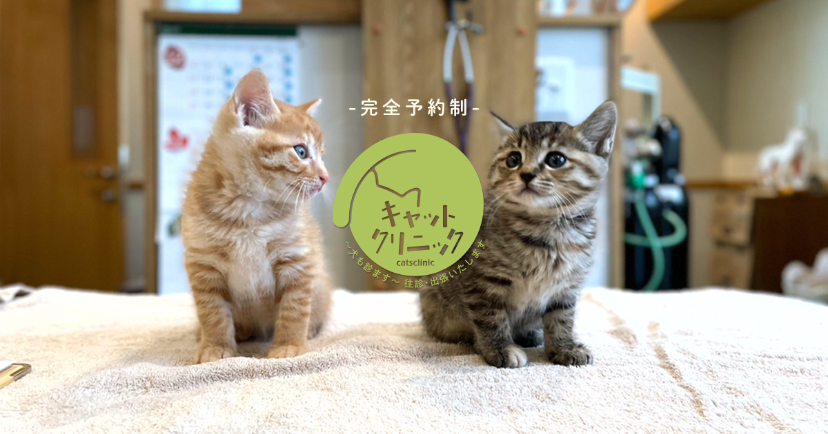キャットクリニック　～犬も診ます～