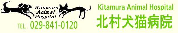 北村犬猫病院