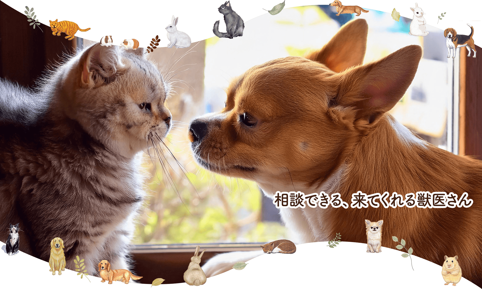 動物往診+在宅ケアサービス　にくきゅう