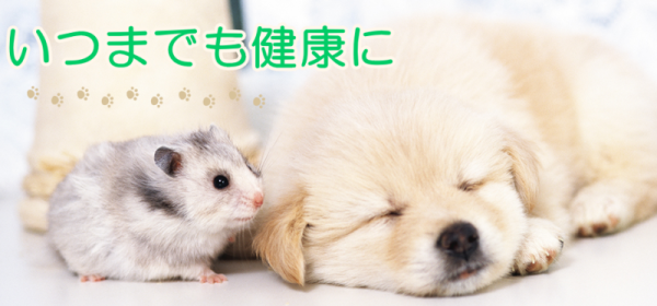 かみのま動物クリニック