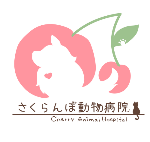 さくらんぼ動物病院