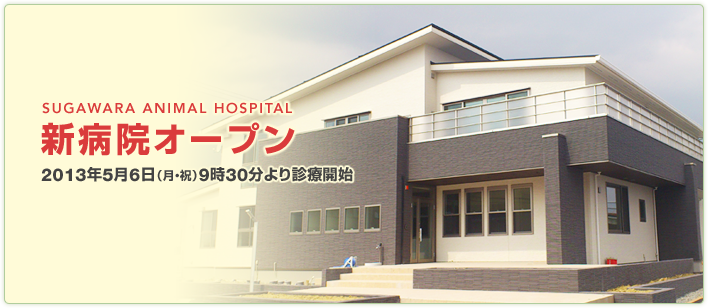 菅原犬猫病院