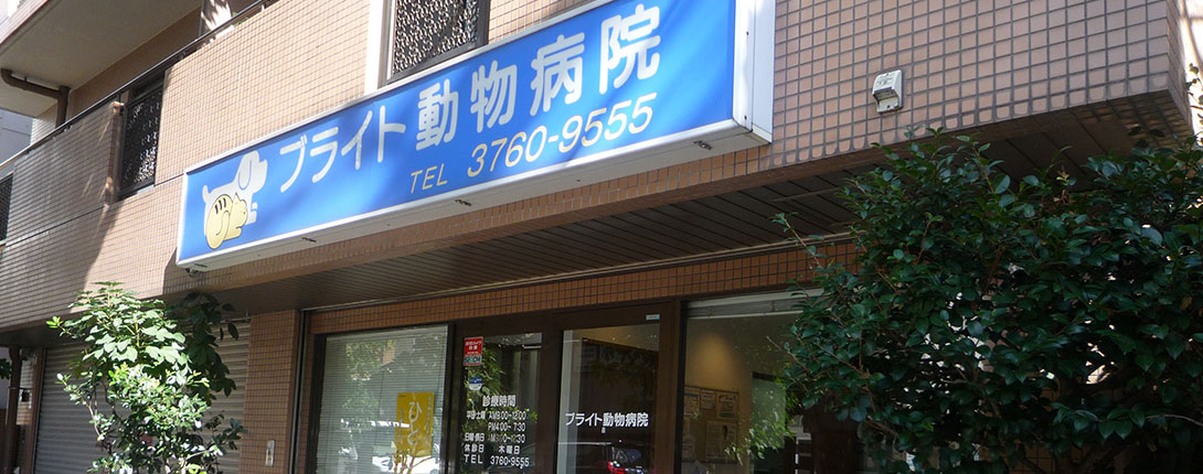 ブライト動物病院