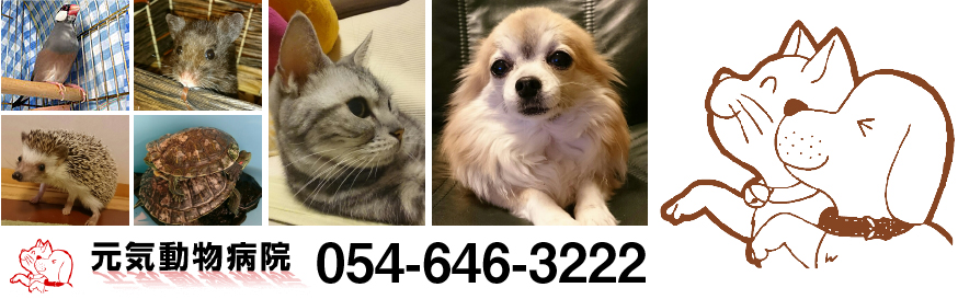 元気動物病院