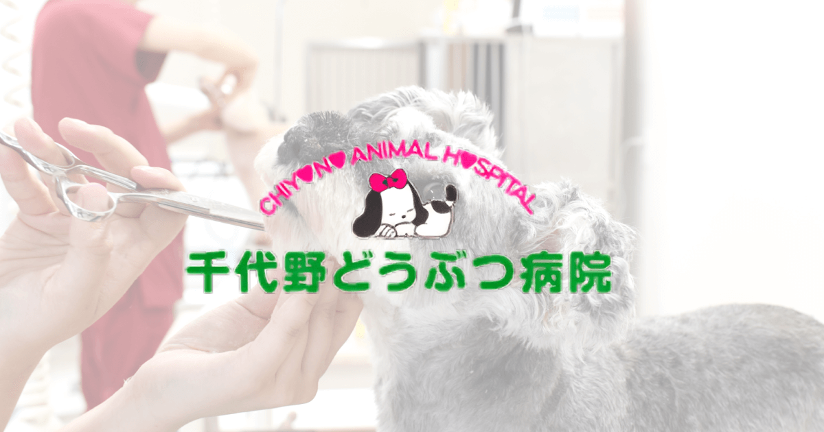 千代野どうぶつ病院