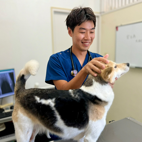 麻布十番犬猫クリニック 宮古島分院