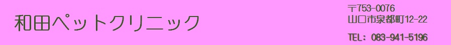 和田ペットクリニック