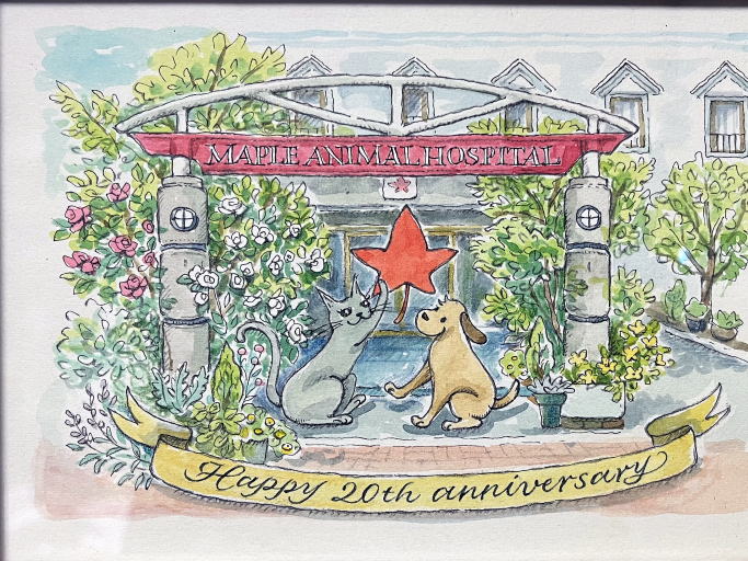 メイプル動物病院