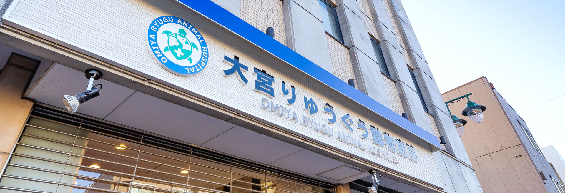 大宮りゅうぐう動物病院