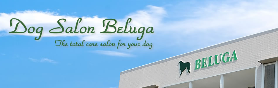 ドッグサロン・ベ...