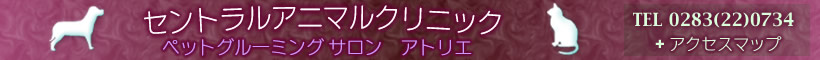 セントラルアニマルクリニック