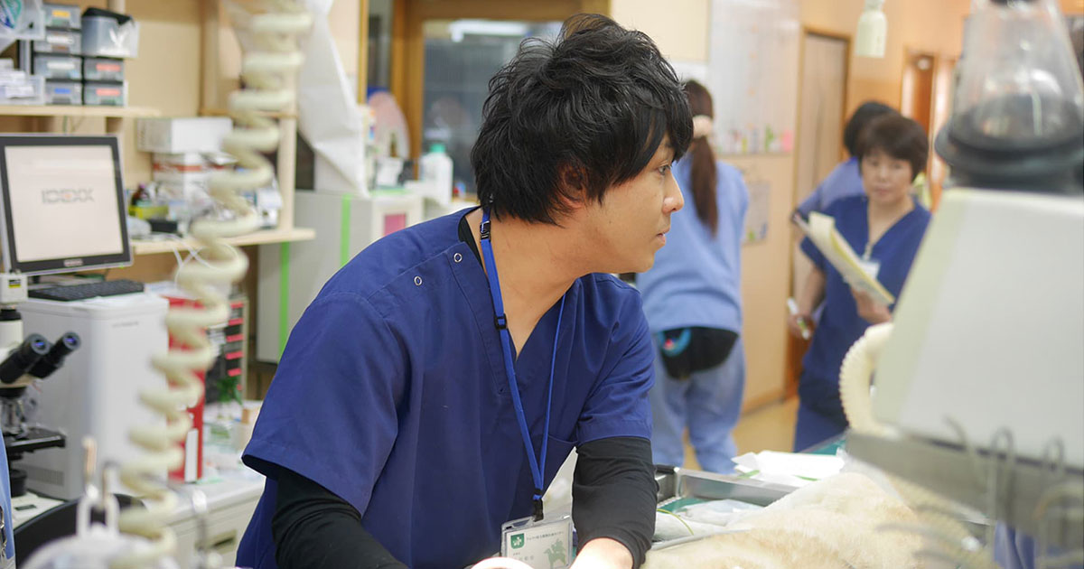 松戸どうぶつ医療センター