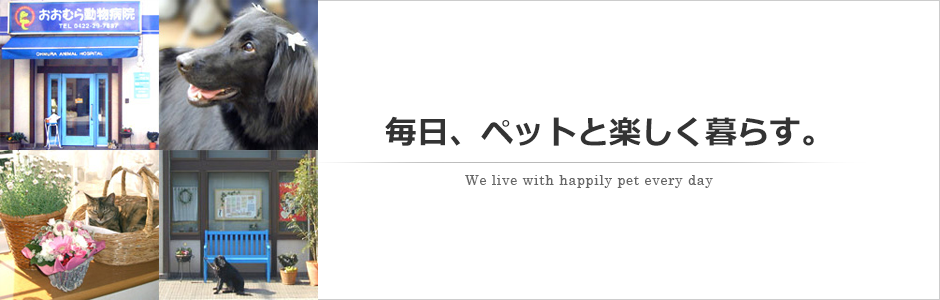 おおむら動物病院