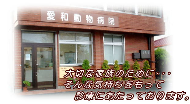 愛和動物病院