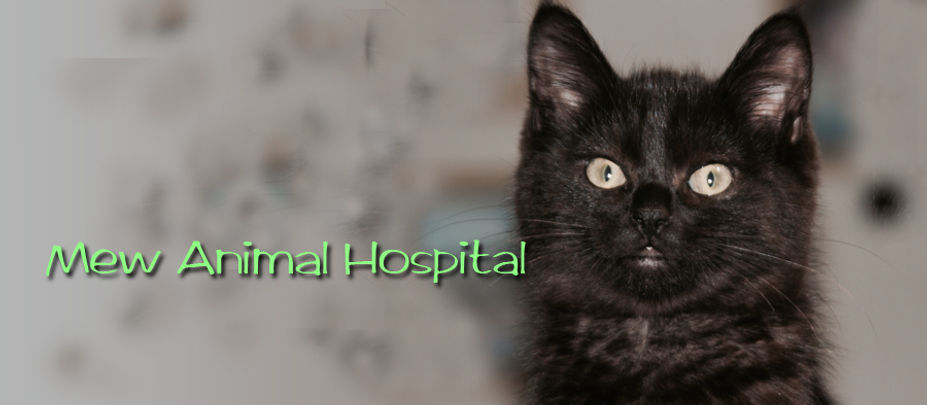 みゅう動物病院