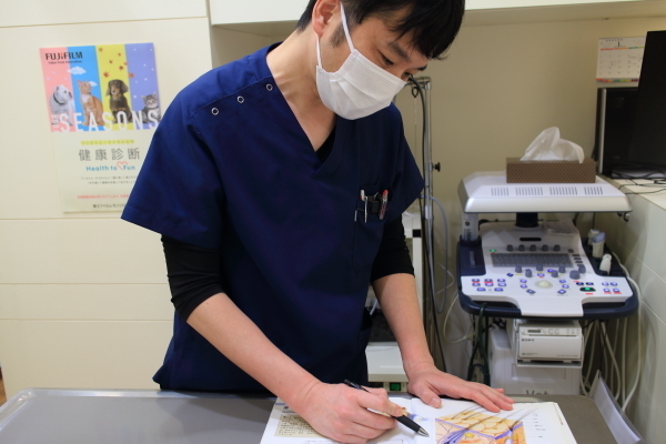 こいけペットクリニック