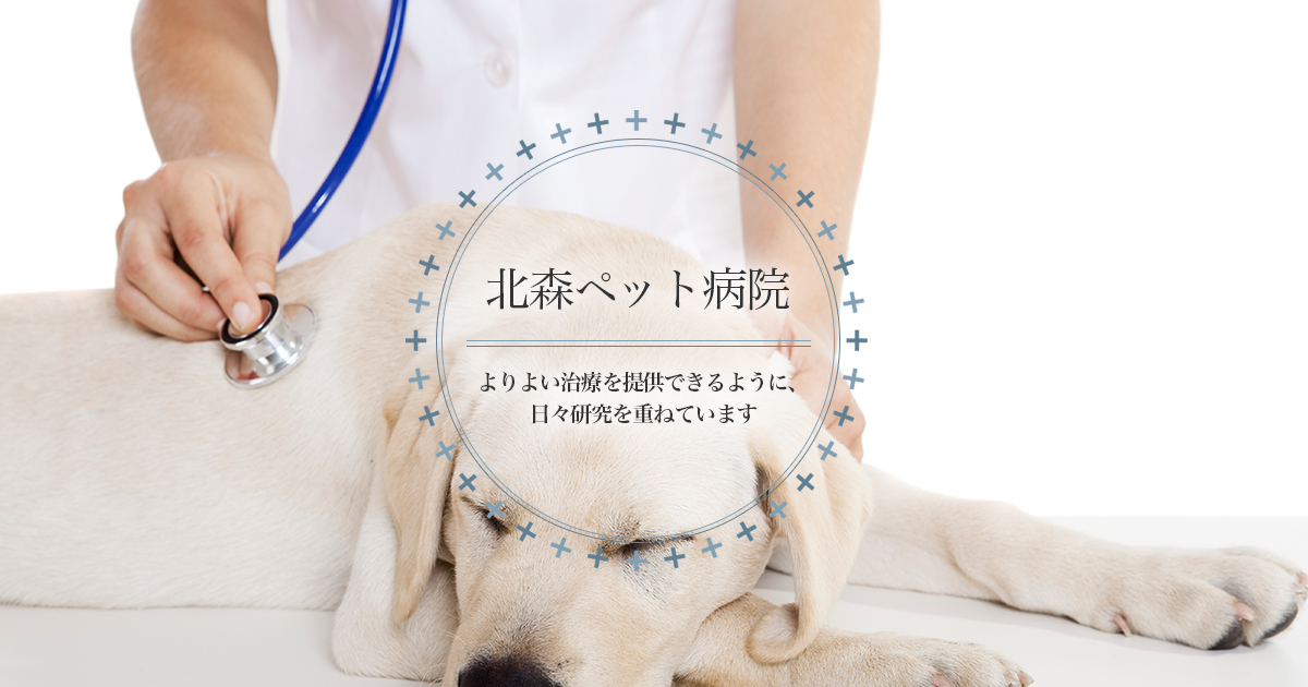 北森ペット病院