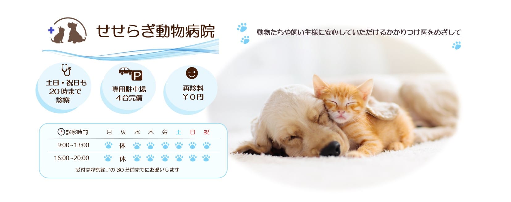 せせらぎ動物病院