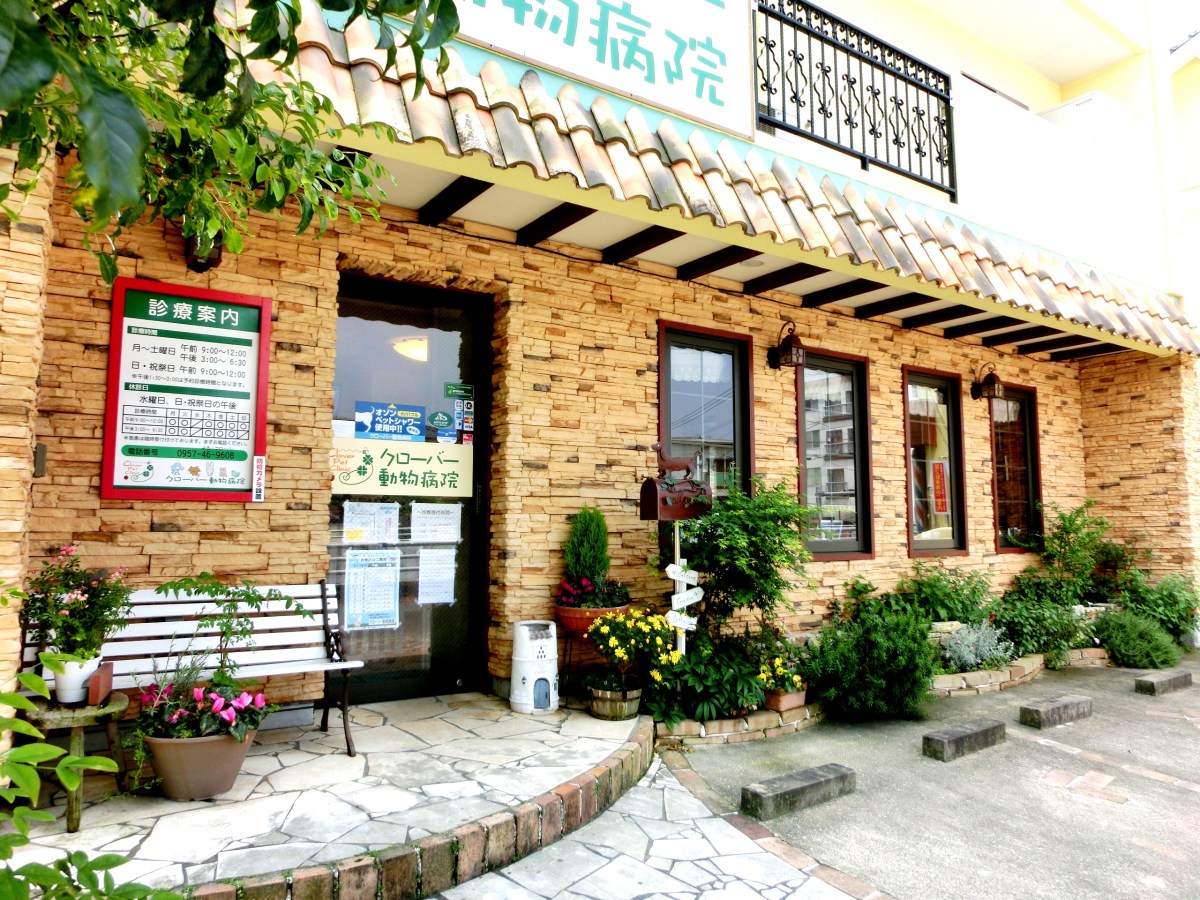 クローバー動物病院