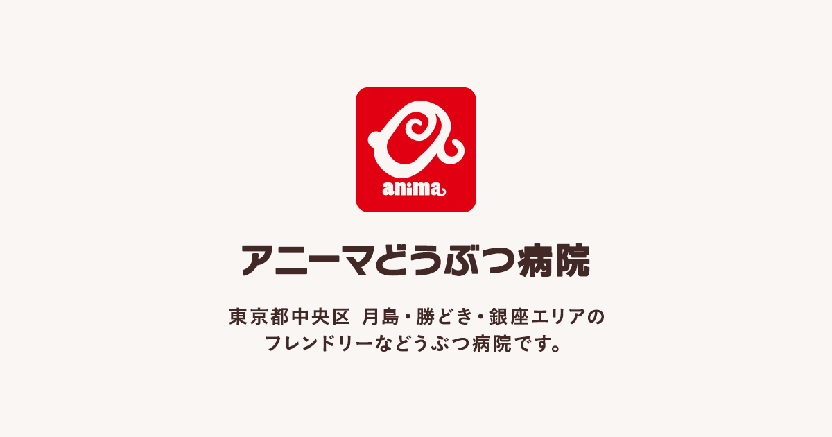アニーマどうぶつ病院