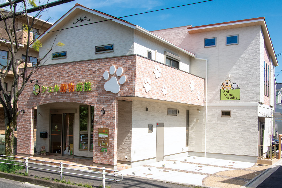 シェル動物病院