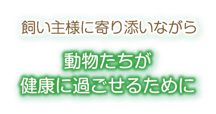 志木いわい動物病院