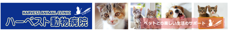 ハーベスト動物病院