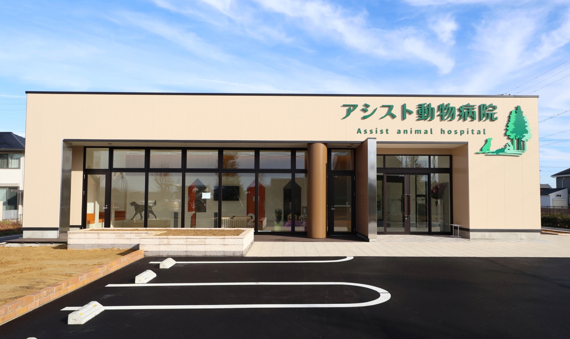 アシスト動物病院