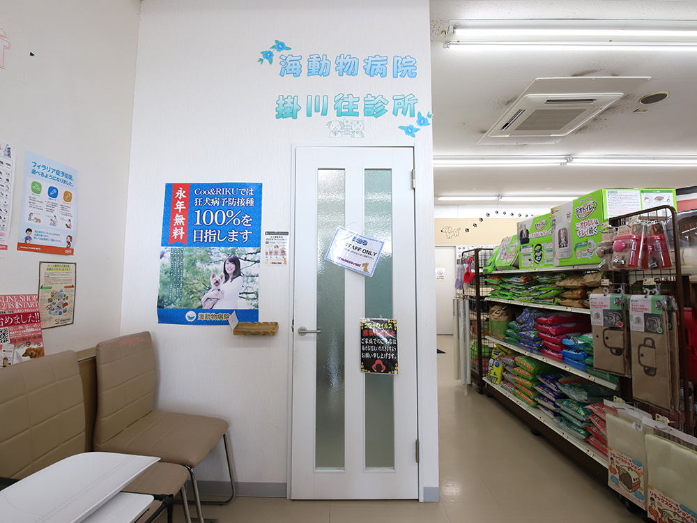 海動物病院　掛川往診所