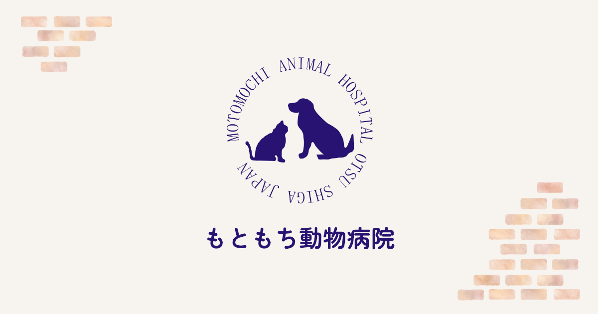 もともち動物病院