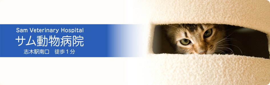 サム動物病院