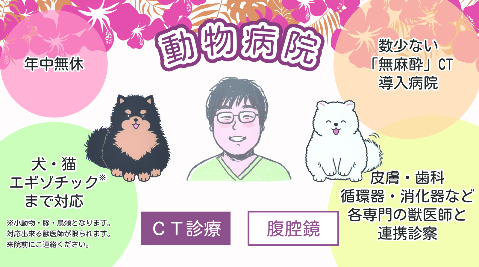 アロハ動物医療センター