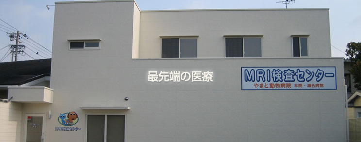 やまと動物病院瀬名病院