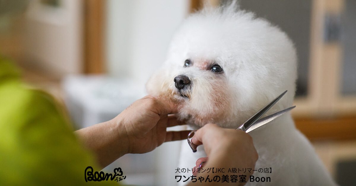 ワンちゃんの美容...