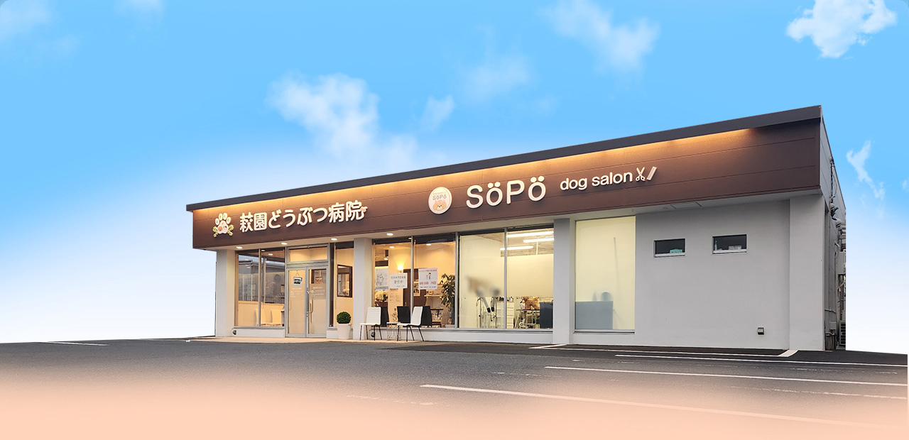 萩園どうぶつ病院