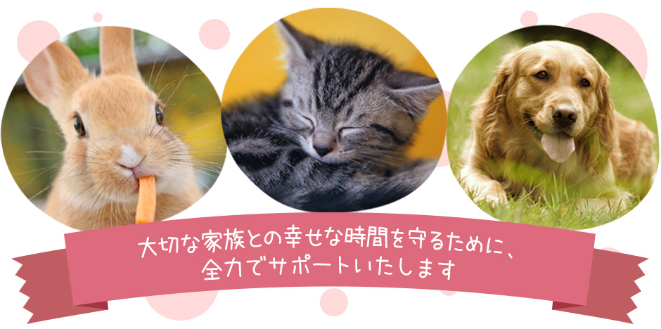 愛川どうぶつ診療センター