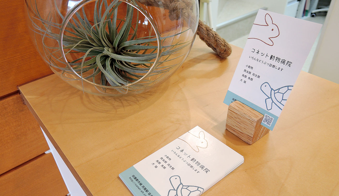 コネット動物病院