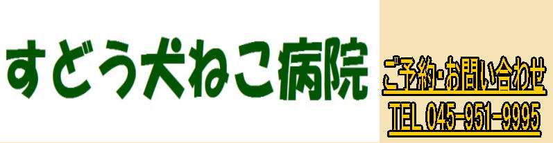 すどう犬ねこ病院