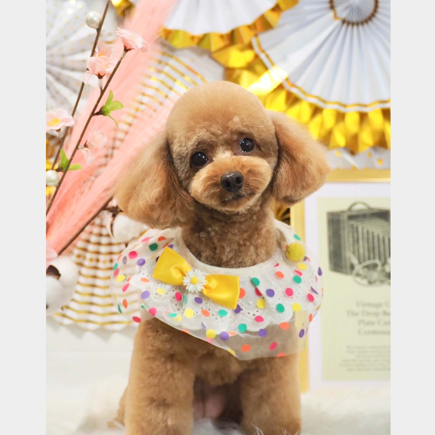 鷹匠ペットクリニック