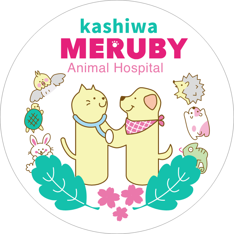 柏メルビー動物病院