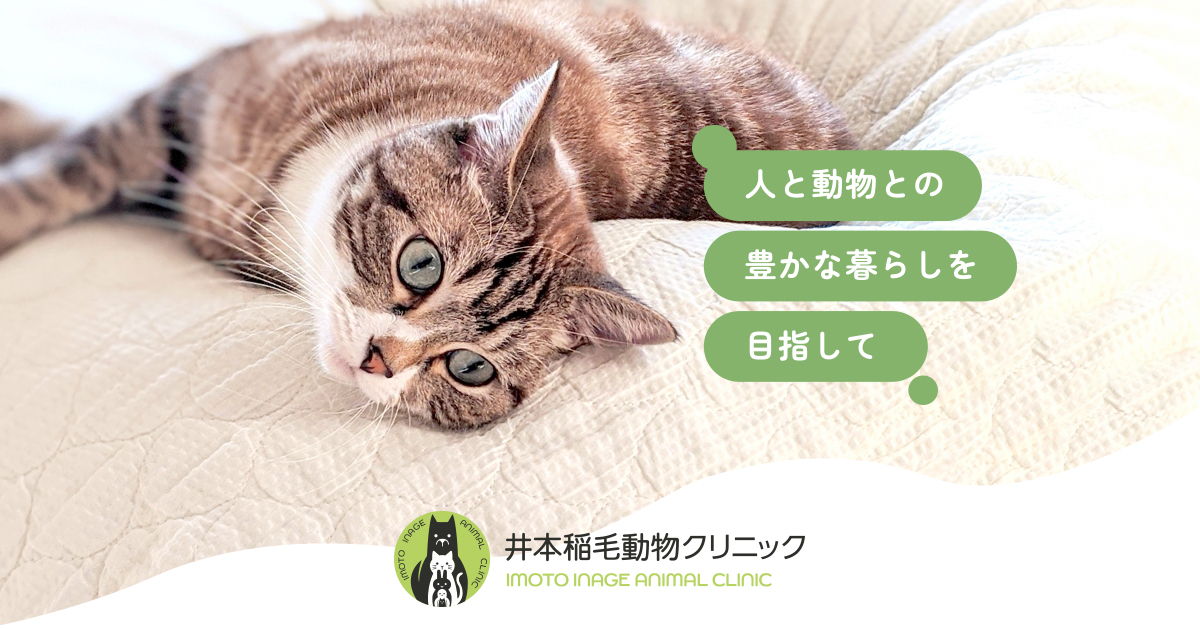 井本稲毛動物クリニック